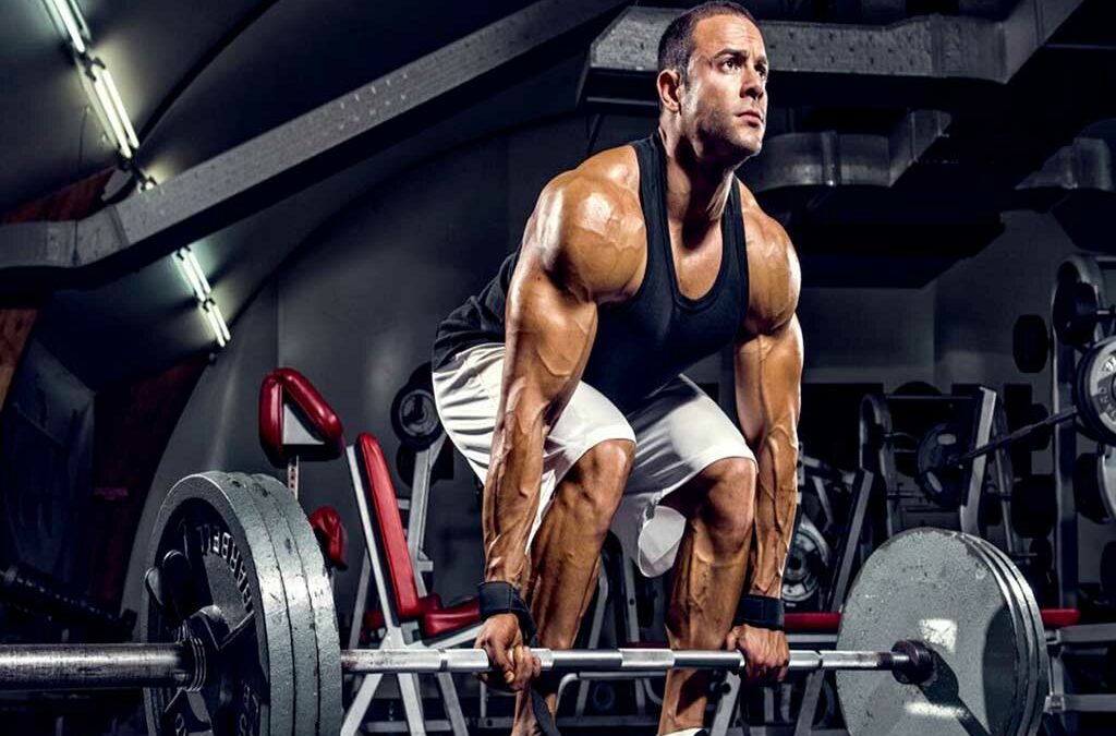 ISTRUTTORE BODY BUILDING – SALA PESI 2° LIVELLO